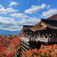 京都青水寺