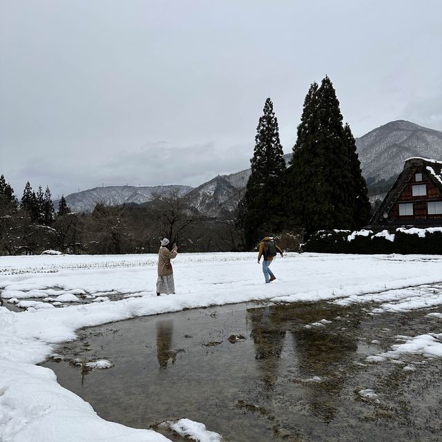 Winter wonderland