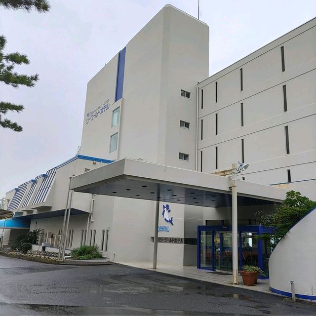 千葉県！海の生物に癒やされるホテル～鴨川シーワールドホテル～