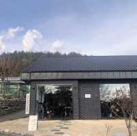 강원도로 떠나는 즐거운 겨울여행