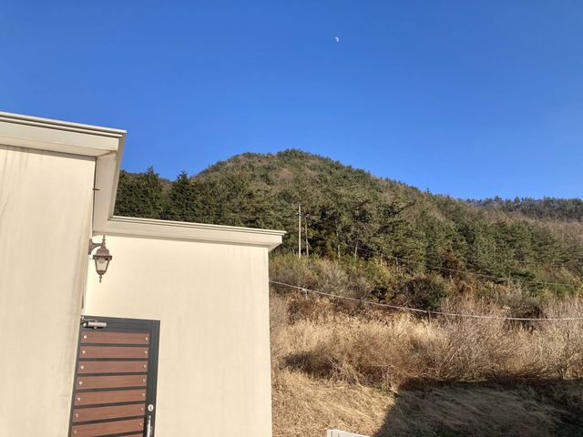 숲속에서 힐링을! 장흥 숙소추천 '정남진 휴랜드 펜션'
