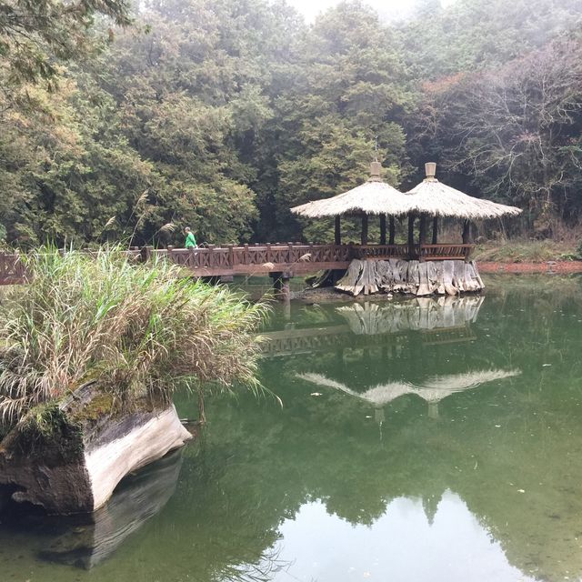台灣阿里山看日出（第一次登山便看到）
