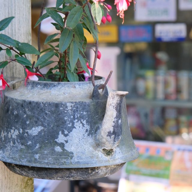 福ちゃん荘