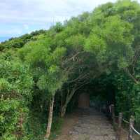 南田觀景台海天一色