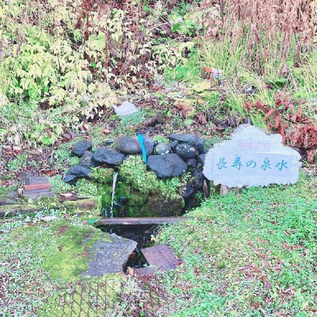 利尻島 穴場の湧水スポット
