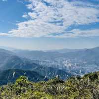 黃牛山尋芒草之旅