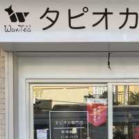 WanTea〜コーギーがいっぱいのタピオカティー屋