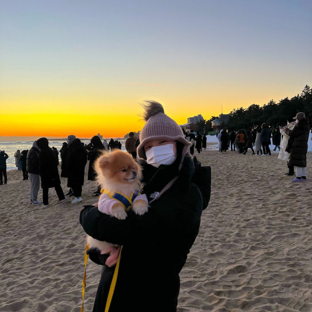 강릉 일출명소 송정해변_나만 알고싶은 해돋이 핫스팟 