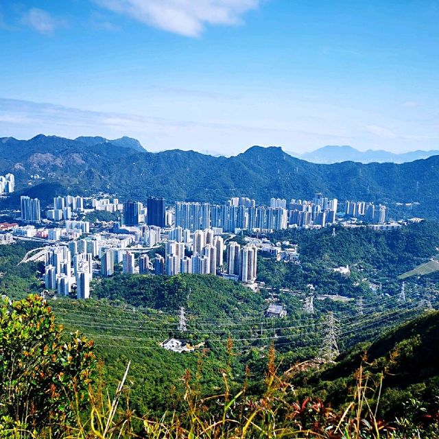 針山