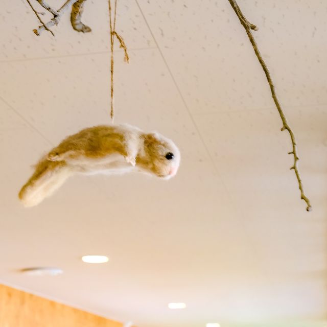 冬の円山動物園・ドサンコの森