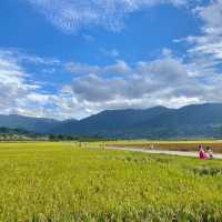 도시락싸서 피크닉 가기좋은 동정호공원 🏞