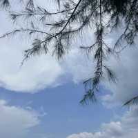Secret beach หาดลับๆ บนเกาะพะงัน