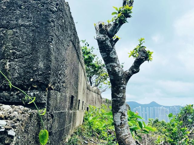 魔鬼山炮台