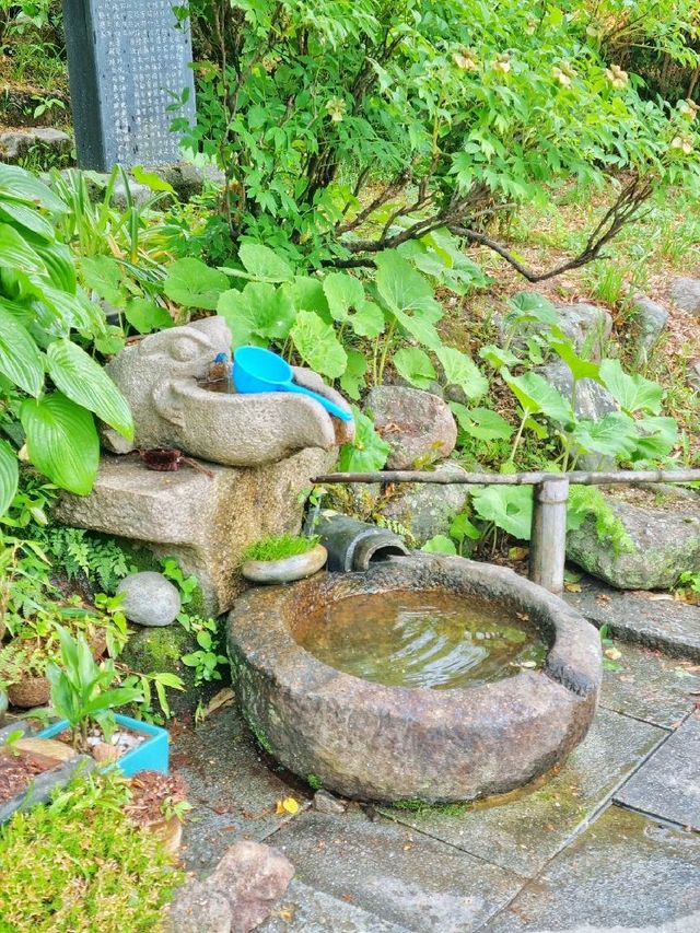 산 속에 숨겨진 구례 화엄사에서 힐링