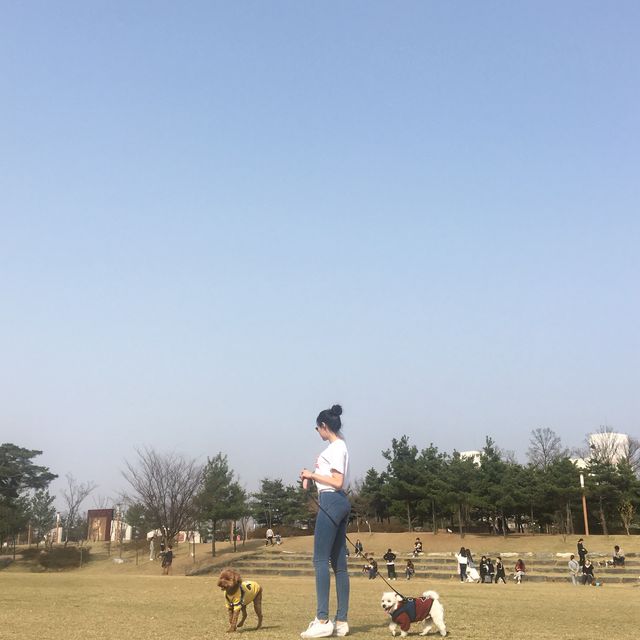 천안 쌍용공원, 강아지들아 모여라~~~ 