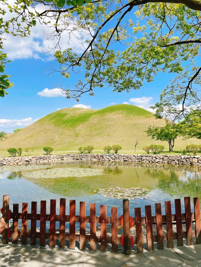 경주 핫플 여행지 모아모아💚 