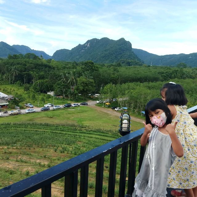 ไร่ชา1000 ไมลฺ์ ที่ใครๆต้องไม่พลาด