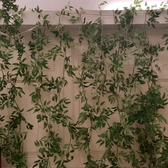 翠雅山房城市綠洲