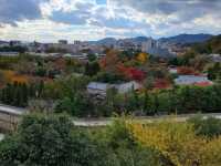 紅葉と世界遺産のコラボ🍁
