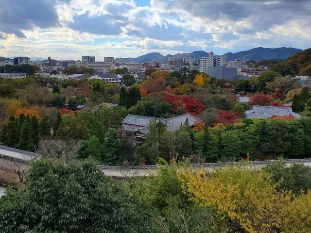 紅葉と世界遺産のコラボ🍁