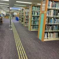 無借書證 一樣得！中央圖書館的頂層寶庫📚