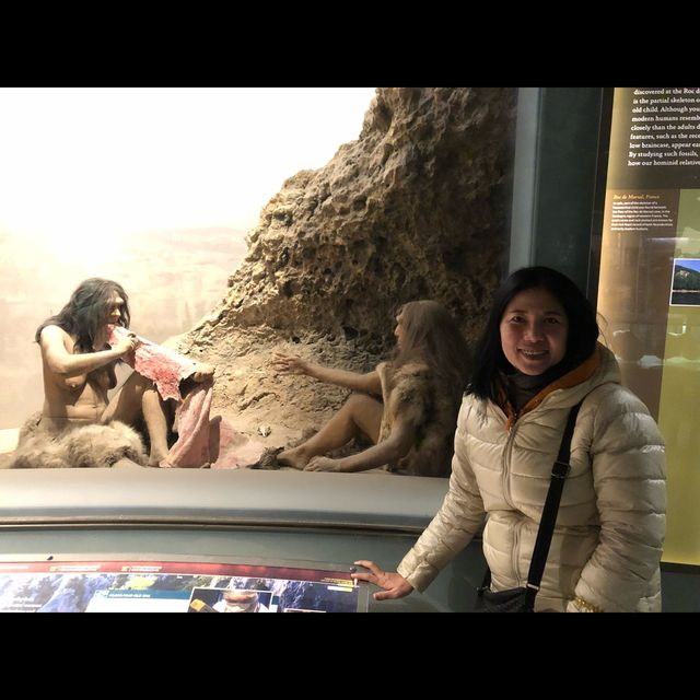 มาเที่ยว American Museum of Natural History ค่ะ
