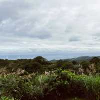 東部公路海岸風景區｜從高處看向一片東海岸的美景