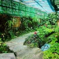 ร้าน Take A Rest Coffee Bar จ.ลำปาง 