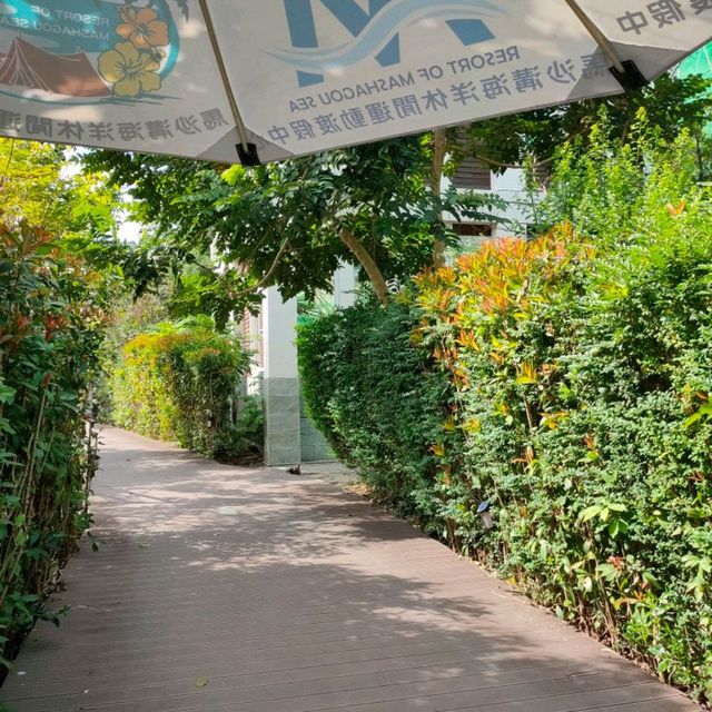 嘉義大學農產品展售中心-庭園造景戶外用餐區