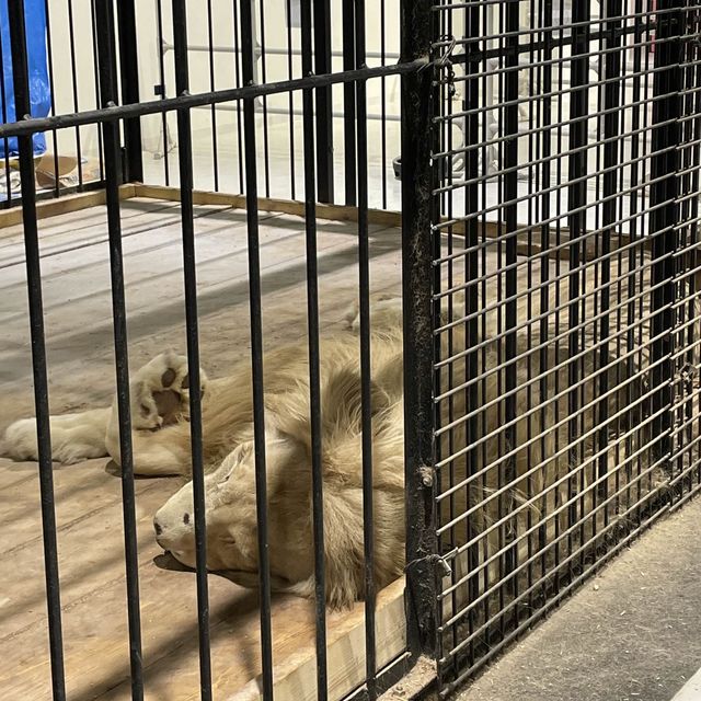 【福岡】イーゾ福岡で動物と触れ合って来ました