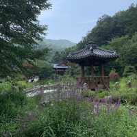 [수목원 힐링 여행]🌱가평 아침고요수목원🌱