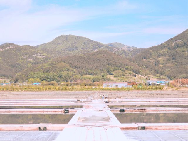 부안 곰소염전: 지브리 느낌의 반영샷을 얻을 수 있는 곳