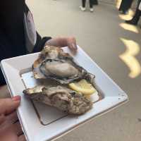 🇯🇵일본 히로시마🇯🇵