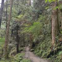 太平山森林遊樂園區