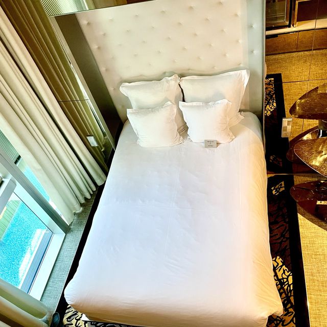 A stay at msocial