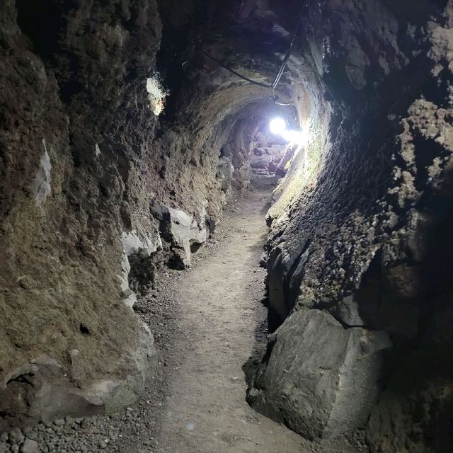 【山梨】富士山のお腹に入れる！洞窟～船津胎内樹型