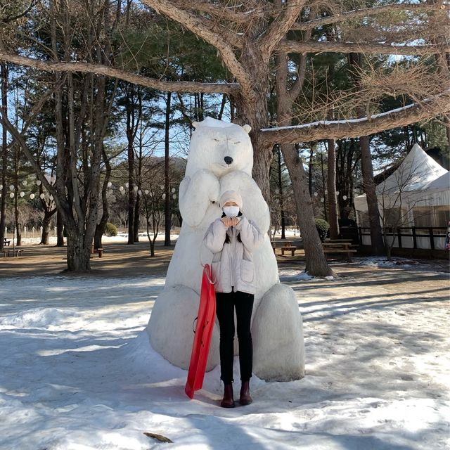 [트립닷컴 이용객이라면 가야하는 ‘남이섬 눈썰매장’]