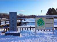 北海道　冬の道南観光！オススメ観光スポット　函館五稜郭タワー〜五稜郭公園