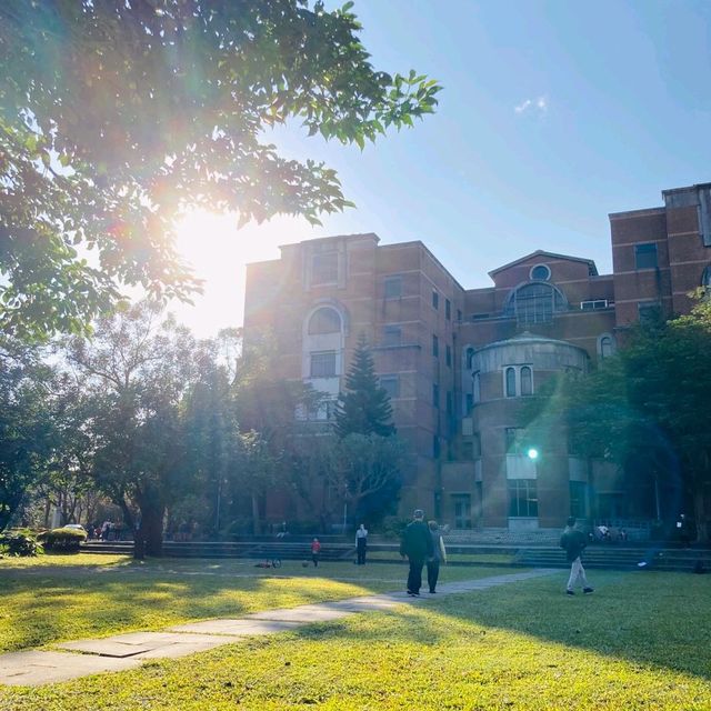 대만대학교 잔디밭에서 여유롭게🍃