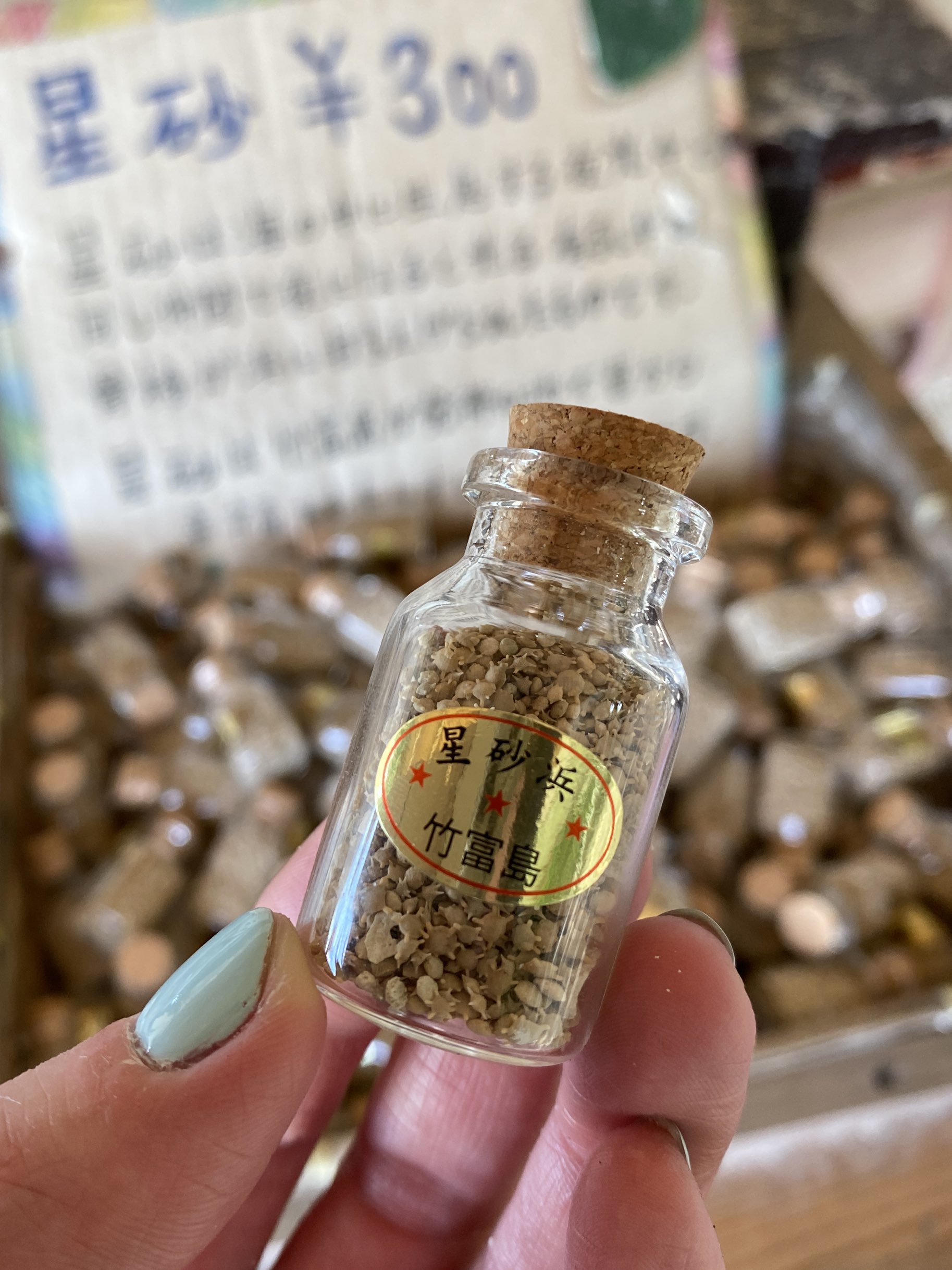 石垣島 星の砂がとれる 竹富島の星砂浜 Trip Com 西表島の旅のブログ