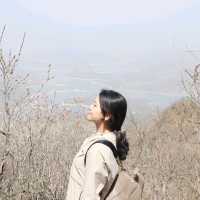 5월엔 철쭉가득 황매산🌸🌺