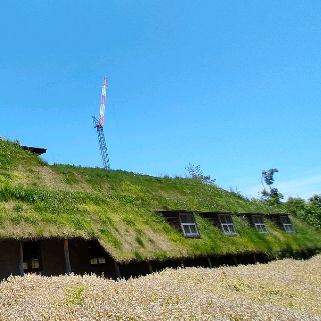 【滋賀県 近江八幡】そこはまるでおとぎの国へのエントランス🌹