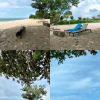 Anantara Desaru Resort with love