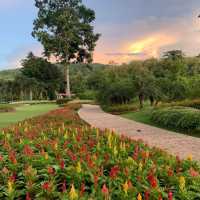 Green Jungle park 