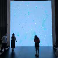 大館推出"森呼吸"展覽