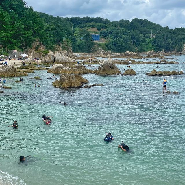 에마랄드 빛 바다 🌊