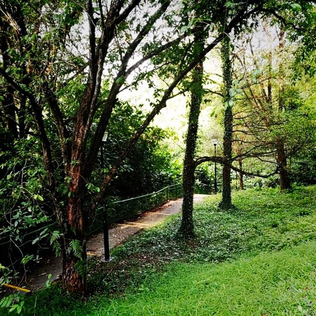 Hiking In Kent Ridge Park On Weekends 