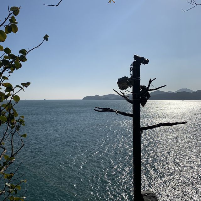 오동오동 떨며 구경했던 오동도🌺