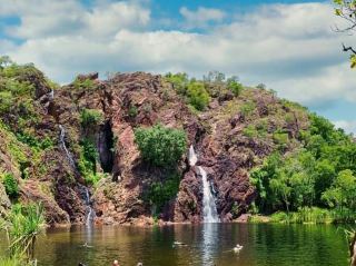 オーストラリア北部準州で最も人気のある日帰り旅行先、リッチフィールド国立公園
