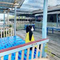 Delicious Seafood in Batam? Kelong Mak Uteh!